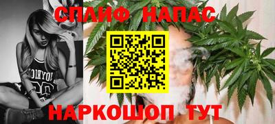 индика Краснознаменск